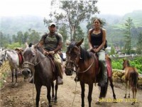/album/galeria-de-fotos-/caballosobrajillo-jpg/