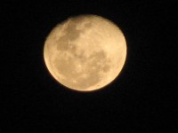/album/galeria-de-fotos-/lunacanta-jpg/